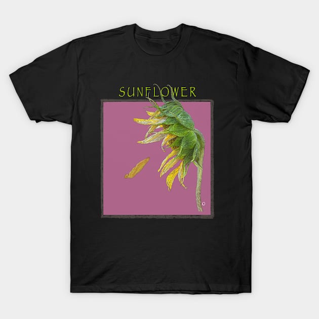 Sunflower (Rose) T-Shirt by The Orchard